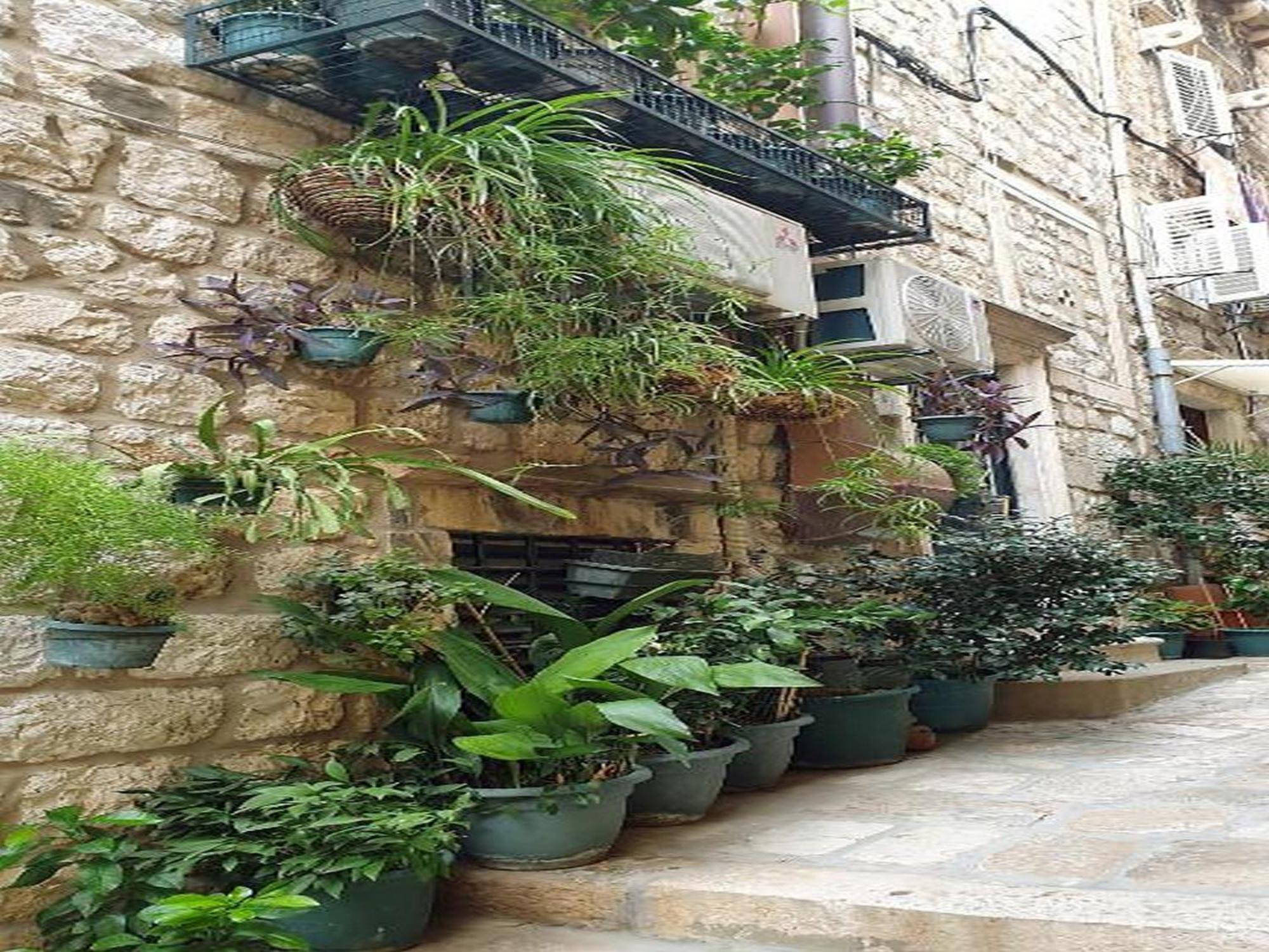 Pk Apartments - Dubrovnik Rom bilde