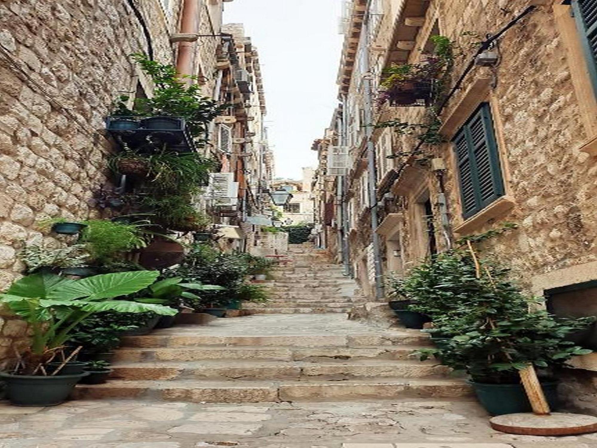 Pk Apartments - Dubrovnik Rom bilde